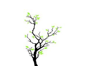 Formação de multiplicadores.700x525