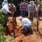 ATER Café Pioneiro do Paraná