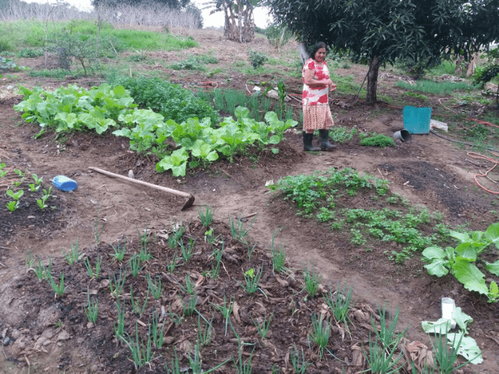 Cadastro Ambiental Rural