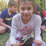 Plantinha da Larissa