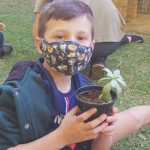 Plantinha do Lorenzo