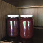 WhatsApp-Image-2024-06-18-at-11.47.04-1