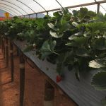 WhatsApp-Image-2024-06-18-at-11.47.05-2