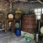 WhatsApp-Image-2024-06-18-at-11.47.06-1