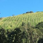 WhatsApp-Image-2024-06-18-at-11.47.06-2-3