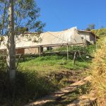 WhatsApp-Image-2024-06-18-at-11.47.07